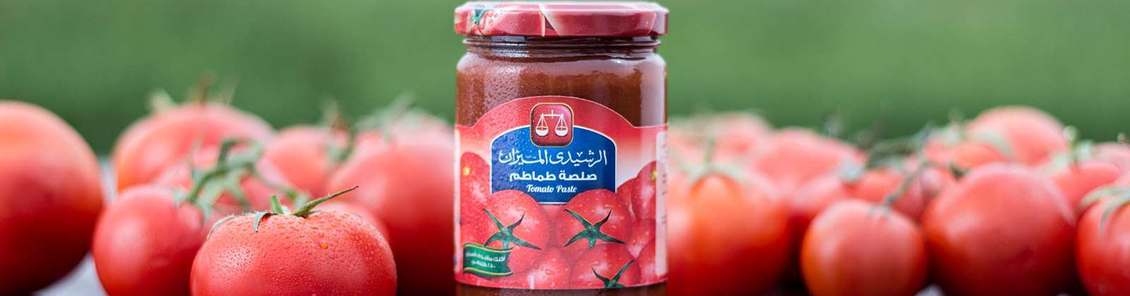 Tomato Paste